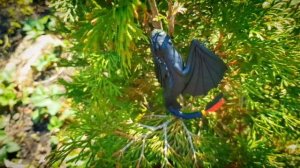 КАК ПРИРУЧИТЬ ДРАКОНА 3 беззубик игрушка в реальной жизни! Дракон из полимерной глины на чашке