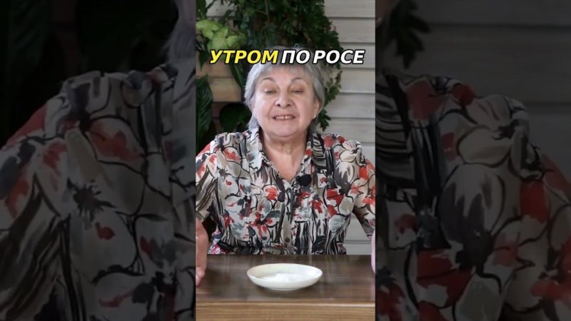 Какие вредители не переносят соду?