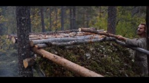 Что делать? Если вы заблудились в лесу.