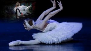 СЕНЬОРИТА ГРАЦИЯ Ион Суручану