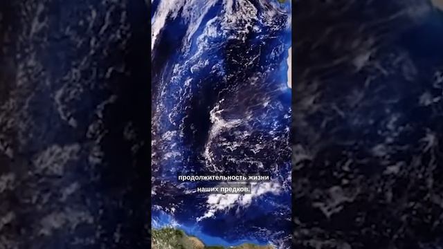 Сколько человек живет в часах? Задумывались об этом? ОТ МЕЧТЫ К ЦЕЛИ | Мышление миллионеров. Часть