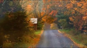 Осеннее настроение.  Мелодия саксофона.