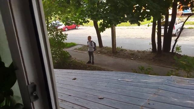 Снова на те же грабли: мечу биссер перед свиньями смотреть онлайн