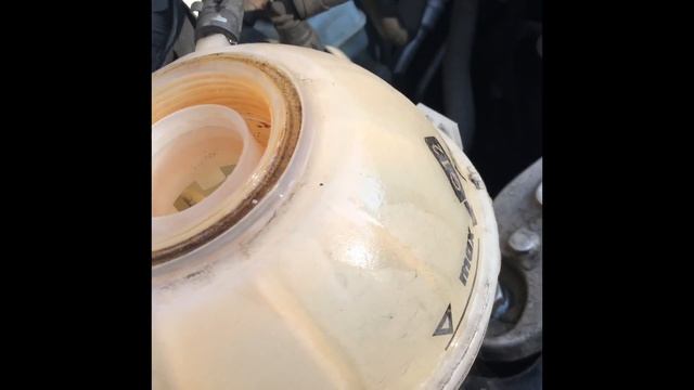 Volkswagon Polo (6R/MK5) G12 Coolant Antifreeze Flush/Change смотреть онлайн