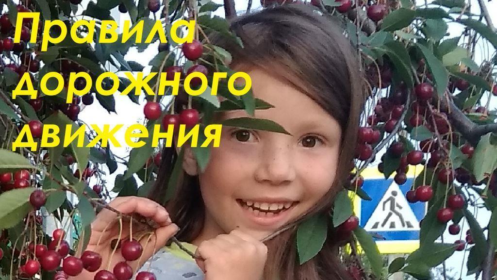 Правила дорожного движения