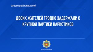 Двоих жителей Гродно задержали с крупной партией наркотиков