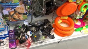 ОБЗОР НА ЗООМАГАЗИН 4 ЛАПЫ!?Лучший зоомагазин?? Корги Рокки (говорящая собака)