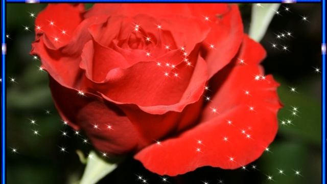 ДОБРОЙ НОЧИ! СЛАДКИХ СНОВ! Пожелание для друзей смотреть онлайн