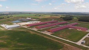 Ферма Эконива, Богданино, Ферзиковский район, Калужская область, июль 2020 года