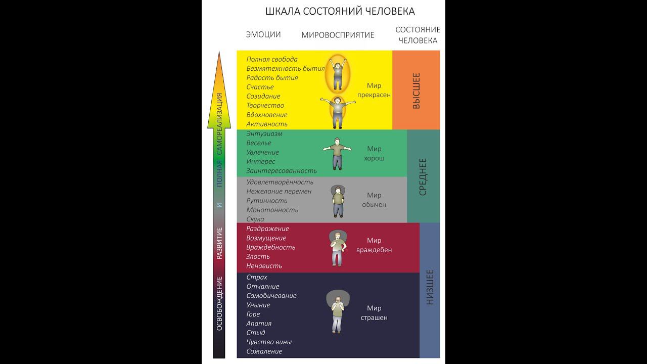 Одно из самых дорогих упражнений для инвестора по жизни - шкала состояния смотреть онлайн