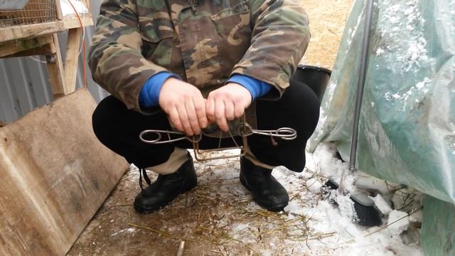 Кролики защита от хищников крысы смотреть онлайн