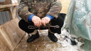Кролики защита от хищников крысы