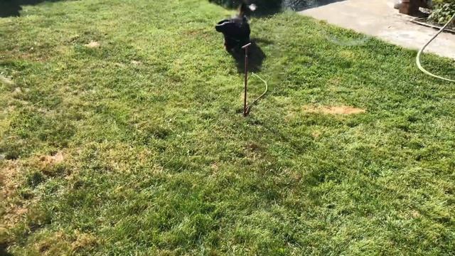 ? Vlog с реборном ? смотреть онлайн