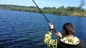 Карп на херабуну на новом водоеме