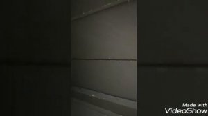 Разбили айфон 6s с 16 этожа,, шок'