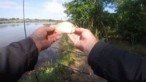 ПОЕЗДКА на рыбалку по лесам .река зеленчук улов удивляет