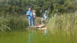Робинзонада 14. Первые гости