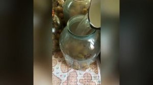 Компот из лесных груш. Վայրի տանձի կոմպոտ: