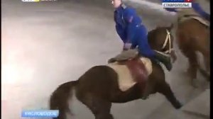 Звезды Манежа Кисловодский цирк
