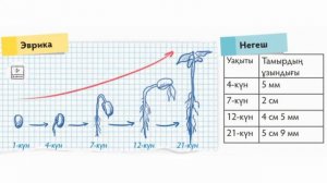 Жаратылыстану 4 сынып. Өсімдіктің қандай даму кезеңдері болады? Өсімдікке гүл не үшін қажет?