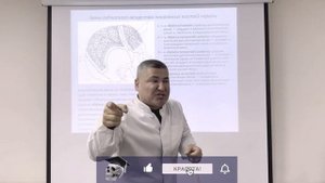 Вены головы и шеи. Анатомия человека / Anatomy Education