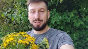 Пижма и от мух защитит и печени поможет / лекарственные травы
