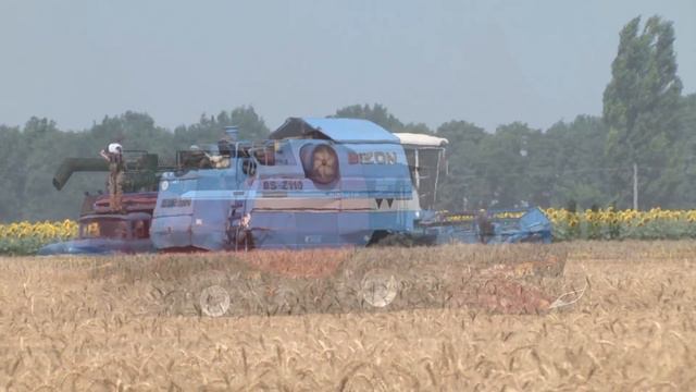 Українське - найкраще, доводить Дослідне господарство "Пархомівське"
