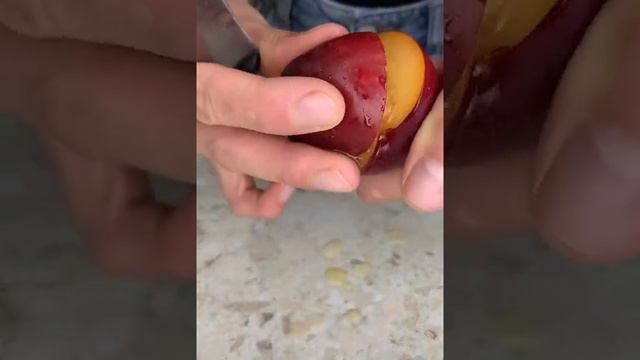 коктейль в домашних условиях. как сделать коктейль в домашних условиях смотреть онлайн