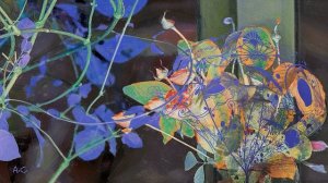 Александр Славин музыка и исполнение. "СИЯЛА НОЧЬ".  Стихи  А.Фета