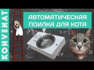 Автопоилка для кота.