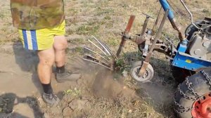 Мотоблок нева МБ2 в работе со стрельчатой копалкой