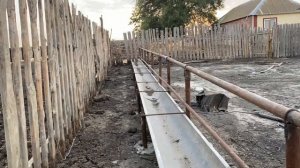 Загон для откорма крс