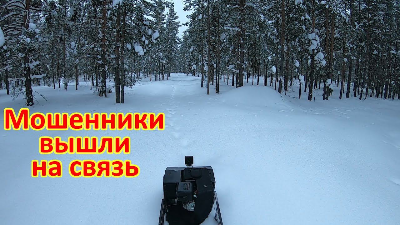 Мошенники вышли на связь смотреть онлайн