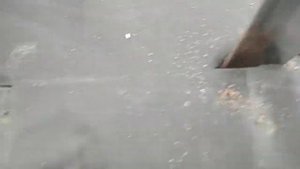 Посадка чеснока озимого под черный спанбонд.