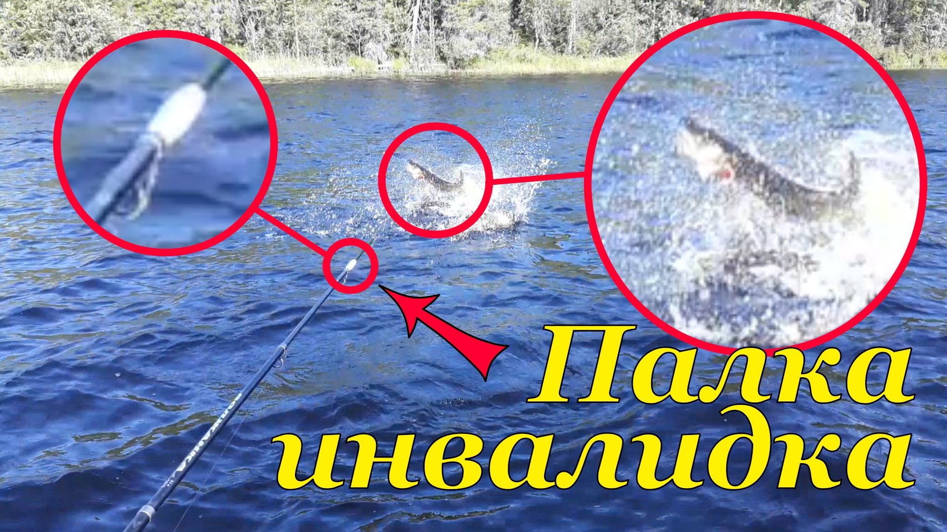 Палка инвалидка