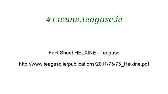 How-To Grow Helxine Soleirolia смотреть онлайн