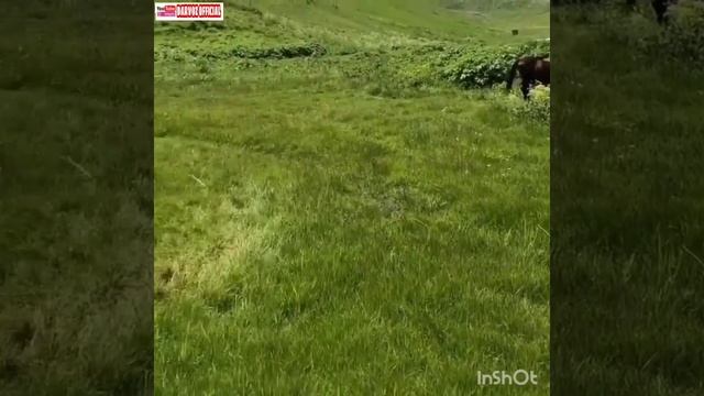 Красивая Живая музыка на свежем воздухе. Сагирдашт?️Дарвоз Таджикистан?? Бадахшон
