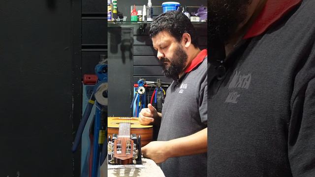 Por que regular o seu instrumento musical ? смотреть онлайн