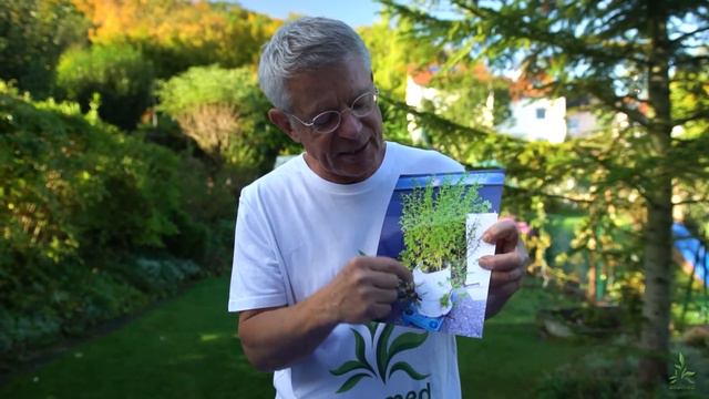 Anbau und Ernte von Artemisia annua смотреть онлайн