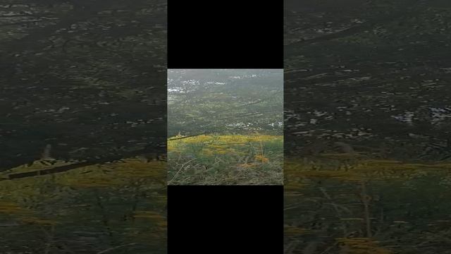Ляховское озеро.2 августа 2023. Набережная. Обзор 2.