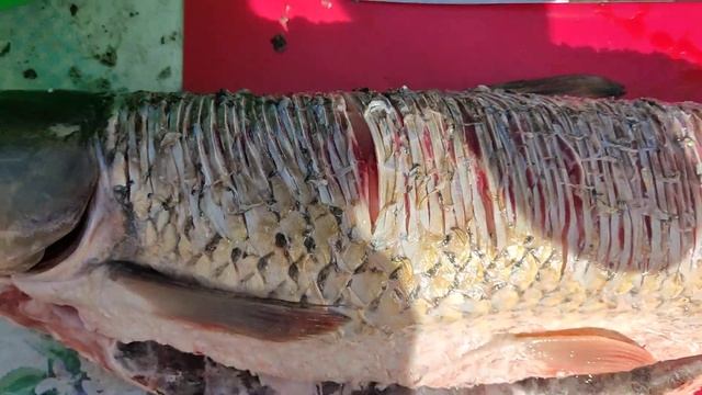 Шинкую крупную рыбу, рыба без костей, амур смотреть онлайн