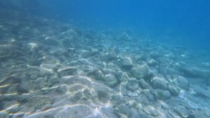Плаваем с рыбками в Бодруме на пляже отеля Duja Bodrum