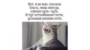Алексей сова