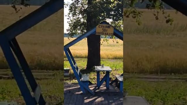 #ВОРОНЕЖ, СТОЛИКИ В КАФЕ ПО 50 РУБЛЕЙ..mp4