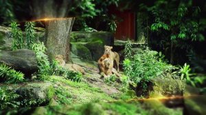 Обзор канала. Где побывал, что видел.