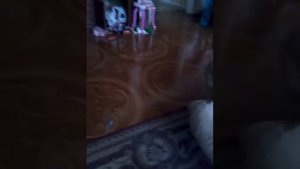 Как вызвать собаку желаний!!