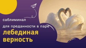 Мощный саблиминал ЛЕБЕДИНАЯ ВЕРНОСТЬ – любовь, доверие, преданность и верность в паре.