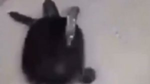 Не смотри это видео если ты один дома...
