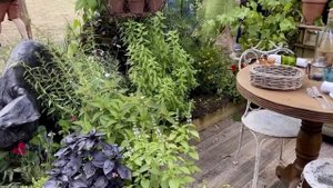 Фестиваль Цветов В Hampton Court 2023 Лондон (часть 2) - Hampton Court Garden Show 2023 London