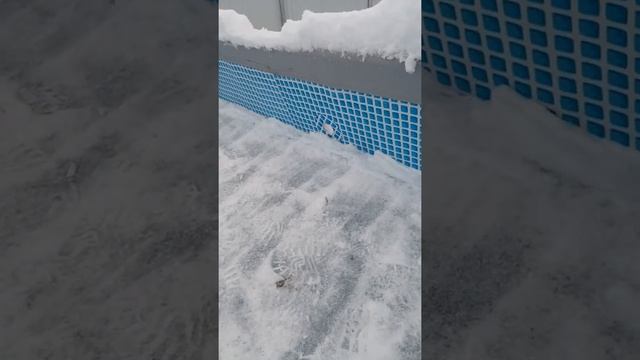 Зимовка каркасного бассейна интекс смотреть онлайн